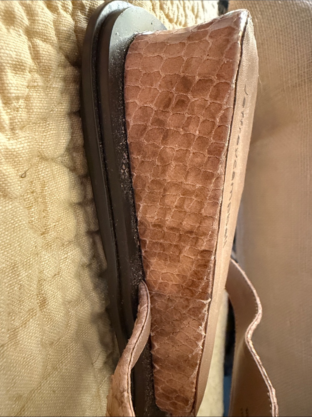 Jeffrey Campbell Brown Snake-Embossed Toe-Post Sandals - Picture 6 of 6